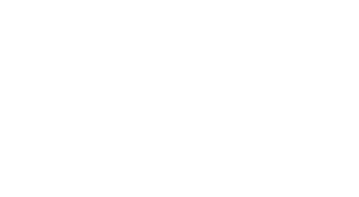 FiberFox