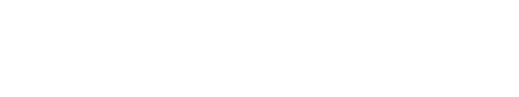 Projectivity Group